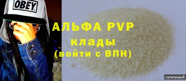 прущие грибы Богданович