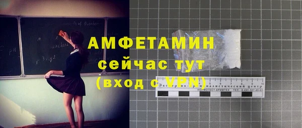 прущие грибы Богданович