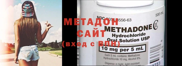 прущие грибы Богданович