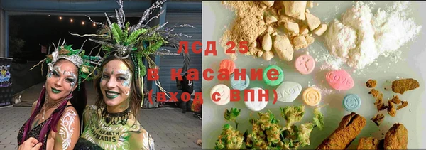 стаф Богородицк