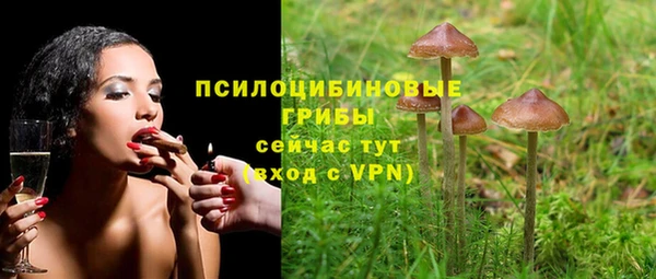 прущие грибы Богданович
