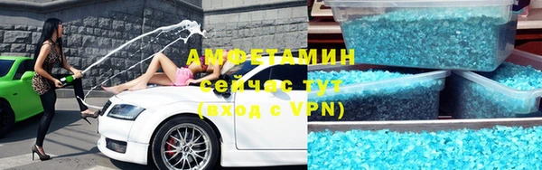прущие грибы Богданович