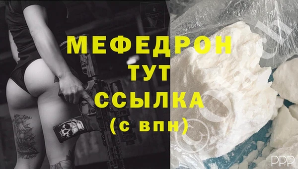 стаф Богородицк
