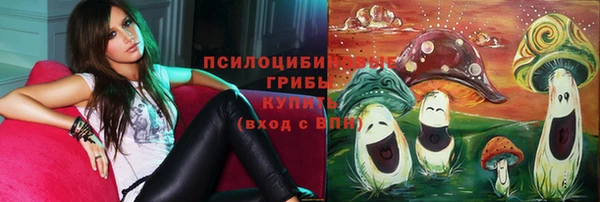 прущие грибы Богданович