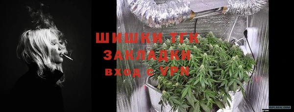 прущие грибы Богданович