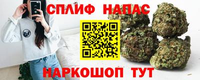 хмурый Кингисепп