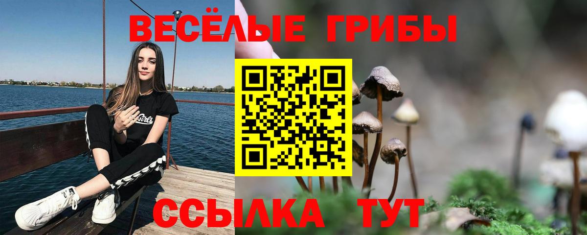 Псилоцибиновые грибы Cubensis Великий Устюг
